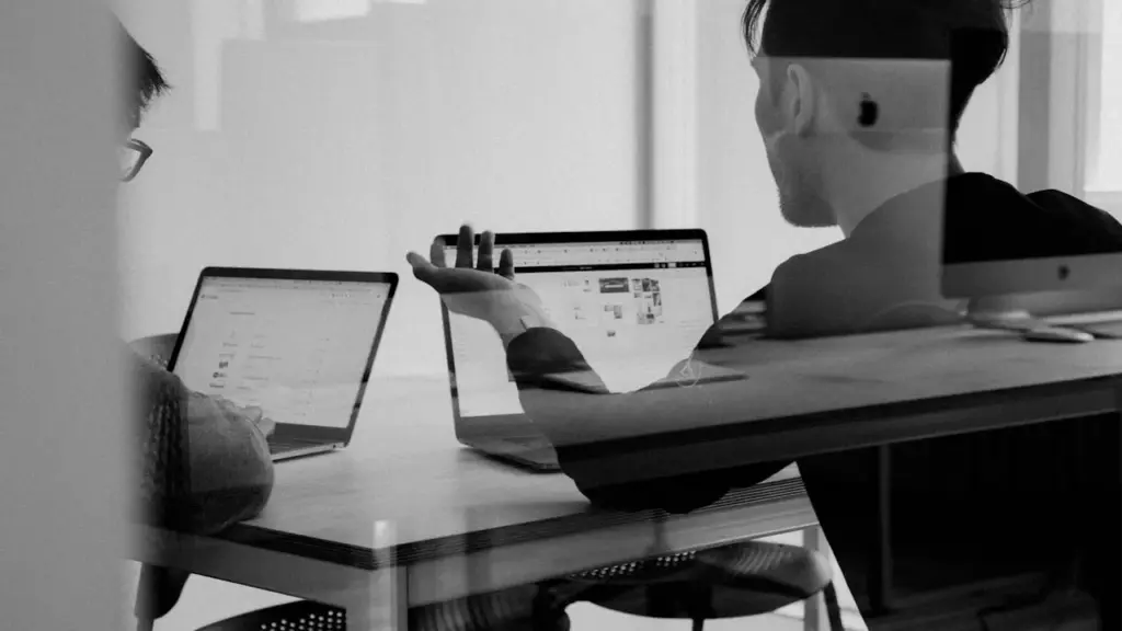 Two colleagues discussing work at laptops